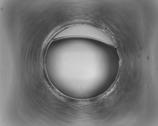 X0000080200101200612081144