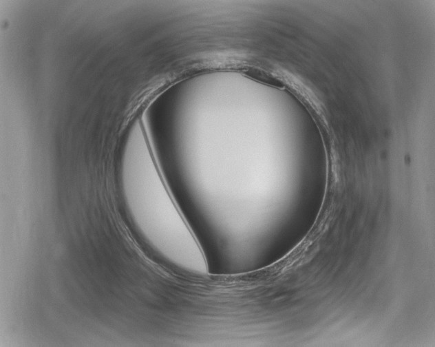 X0000080200105200612081144
