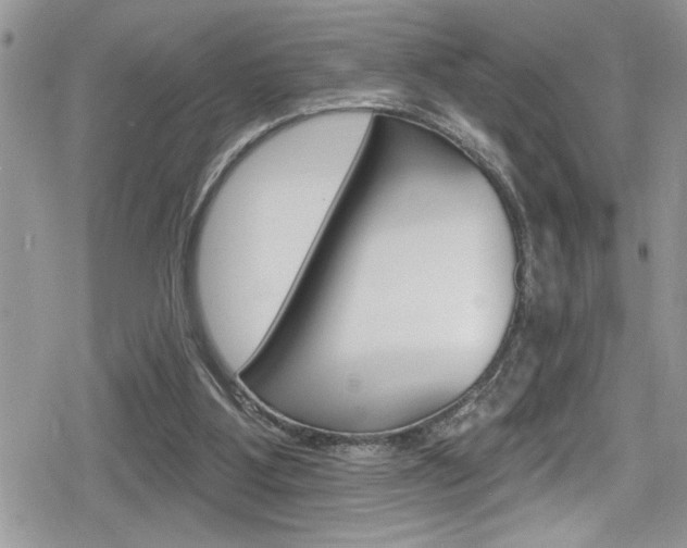X0000080200107200612081144