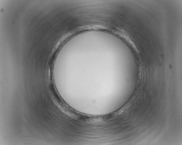 X0000080200110200612081144