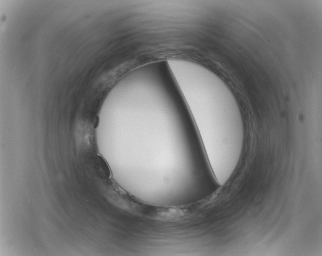 X0000080200125200612081144