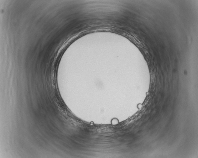 X0000080200146200612081142