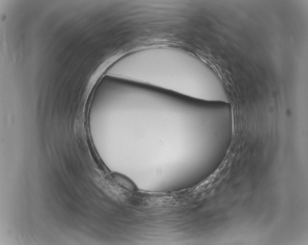 X0000080200147200612081142