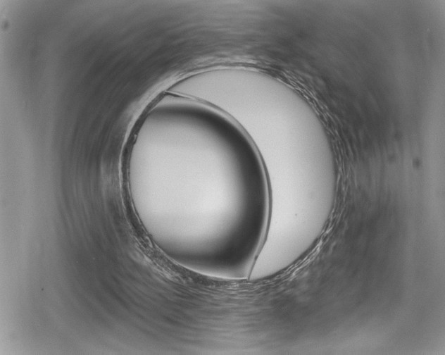 X0000080200148200612081142
