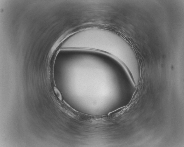 X0000080200150200612081142