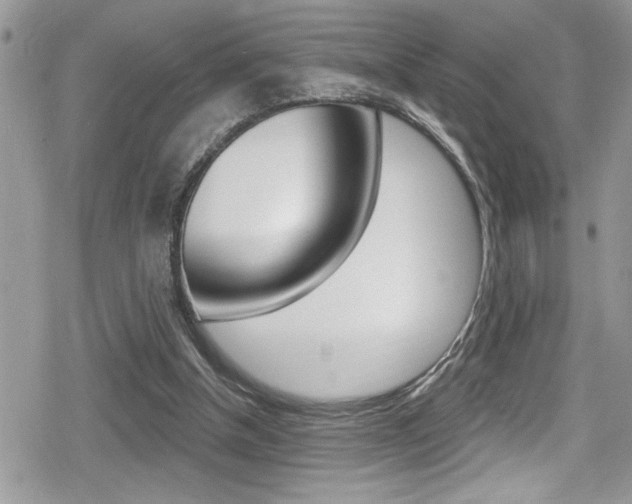 X0000080200154200612081143