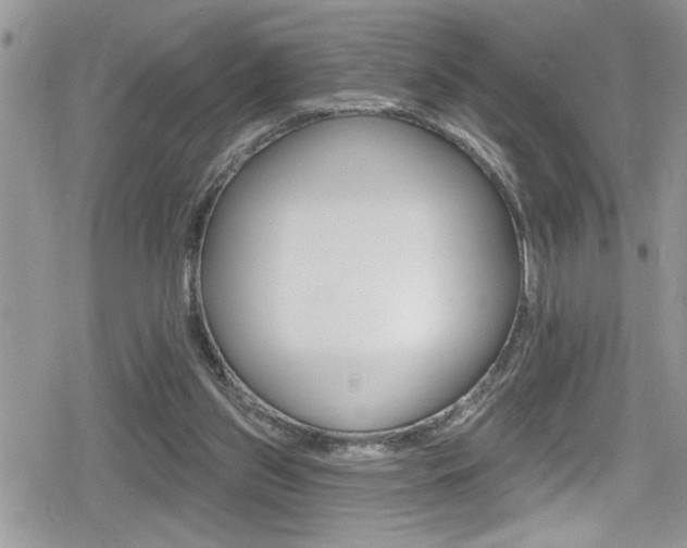 X0000080200157200612081143