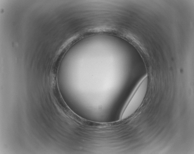 X0000080200164200612081143