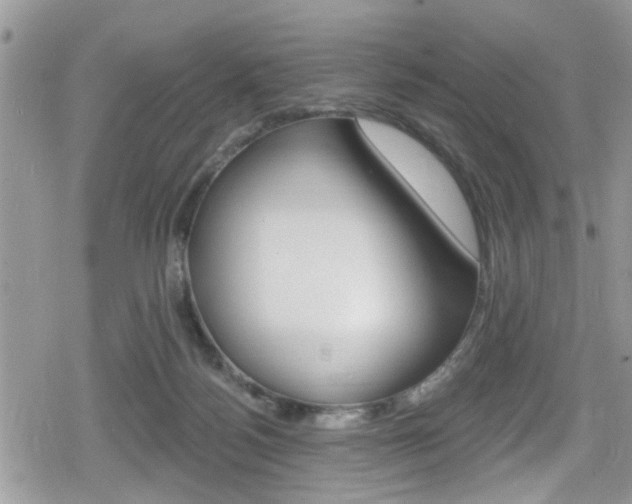 X0000080200172200612081143