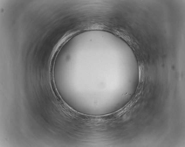 X0000080200195200612081142