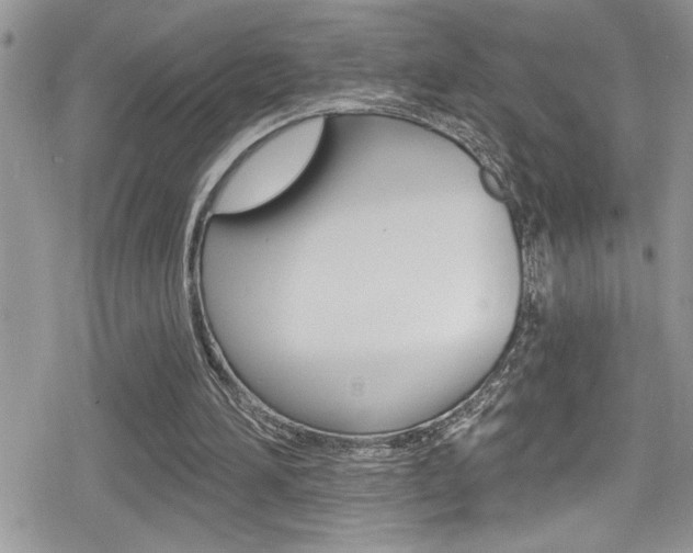 X0000080200196200612081142