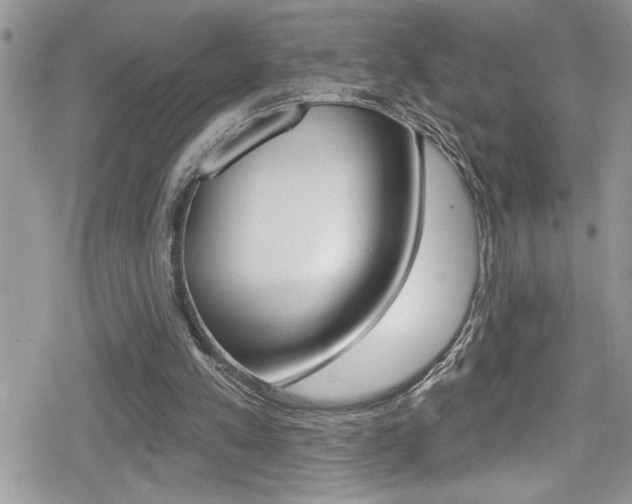 X0000080200197200612081142