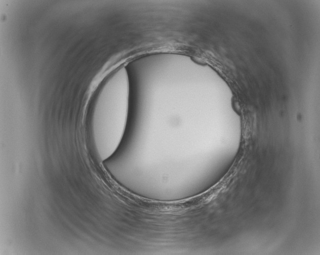 X0000080200198200612081142