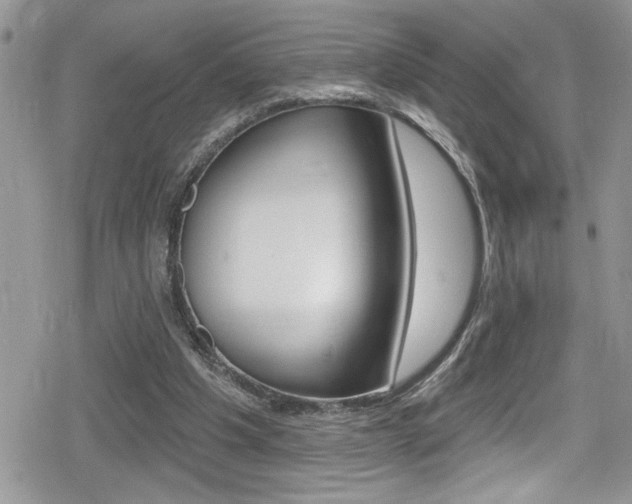 X0000080200201200612081142