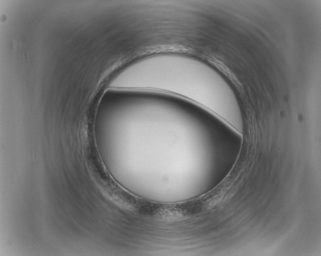 X0000080200207200612081142