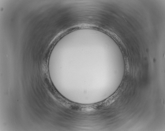 X0000080200208200612081142