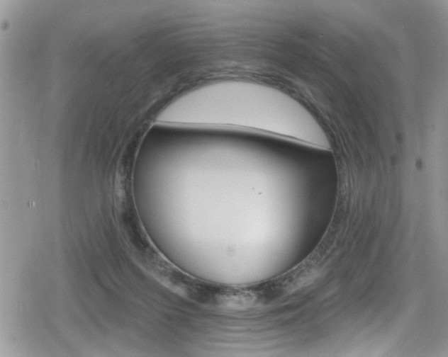 X0000080200215200612081142