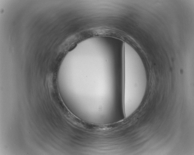 X0000080200217200612081142