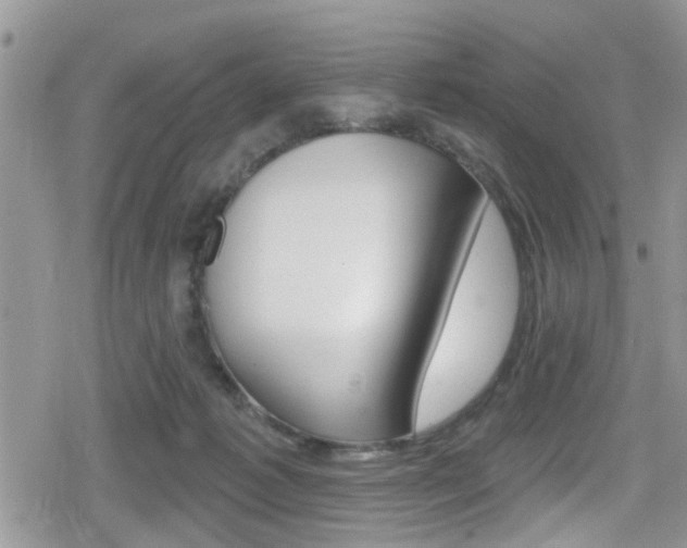 X0000080200221200612081142