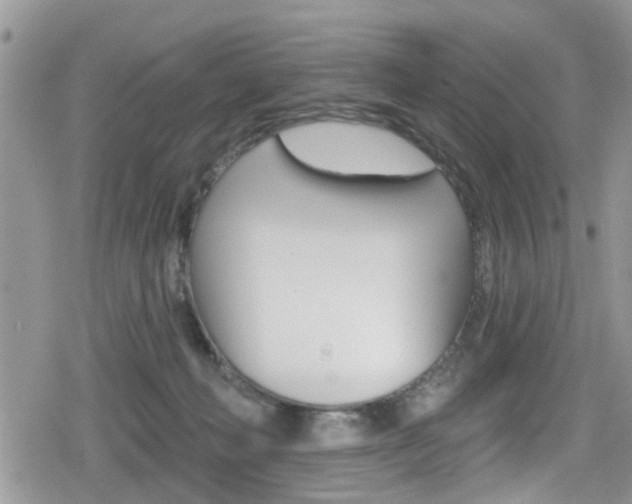 X0000080200222200612081142