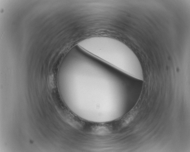 X0000080200224200612081142