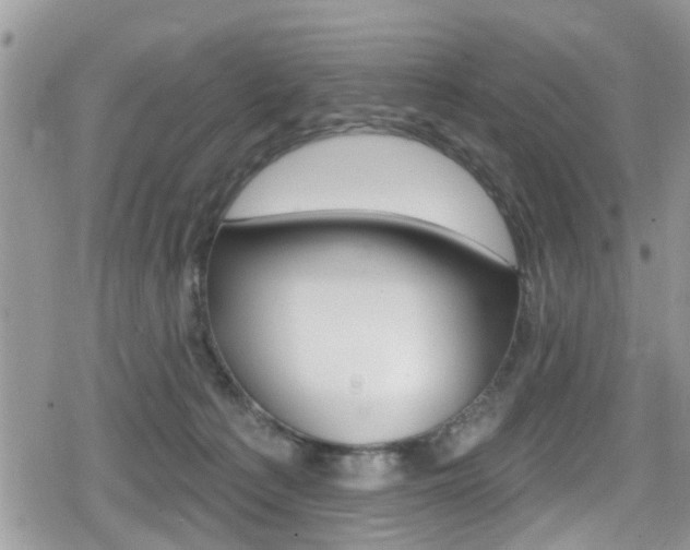 X0000080200225200612081142