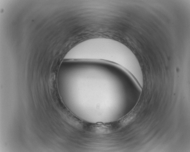 X0000080200229200612081142