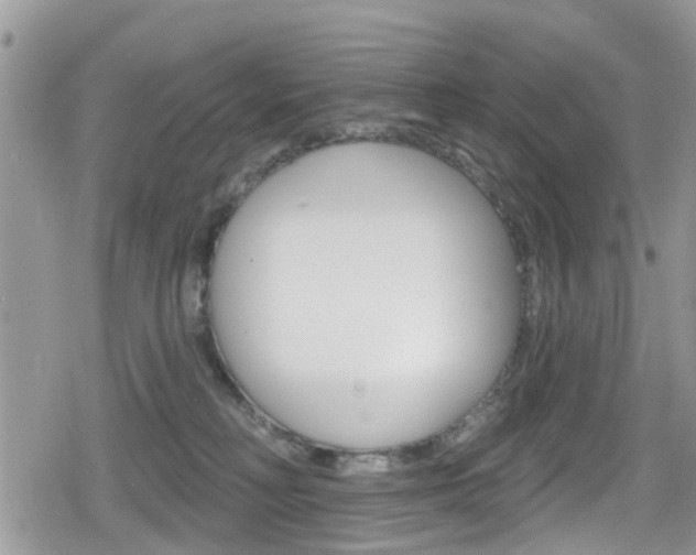 X0000080200230200612081142