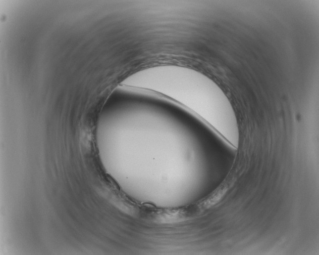 X0000080200235200612081142