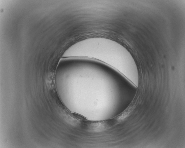 X0000080200237200612081142