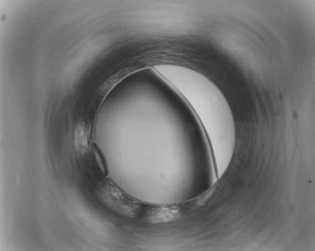 X0000080200239200612081142