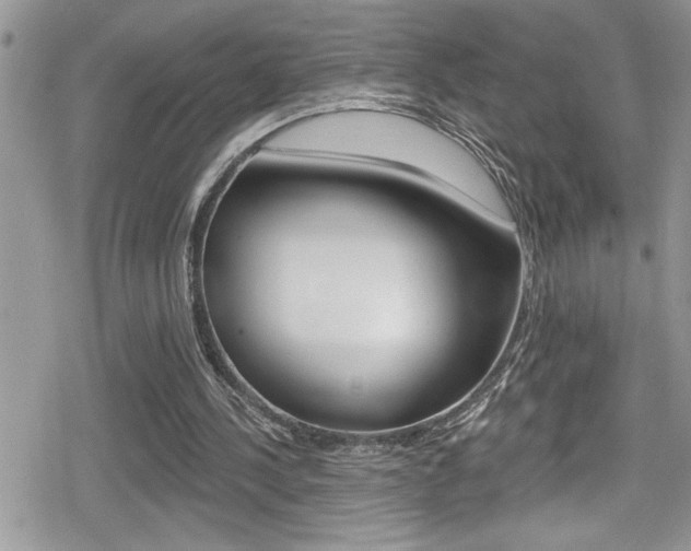 X0000080200244200612081141