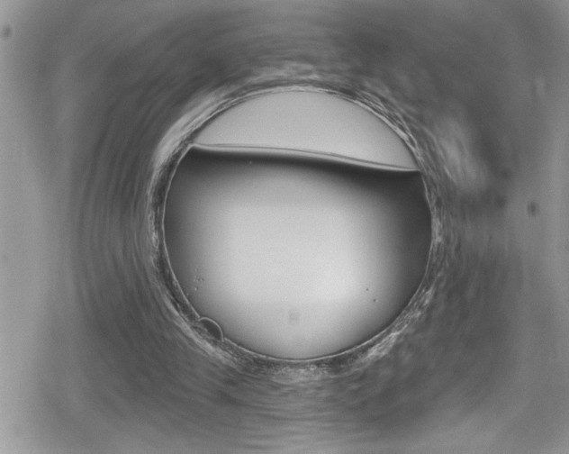 X0000080200245200612081141