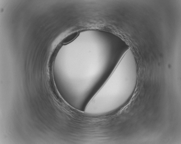 X0000080200246200612081141