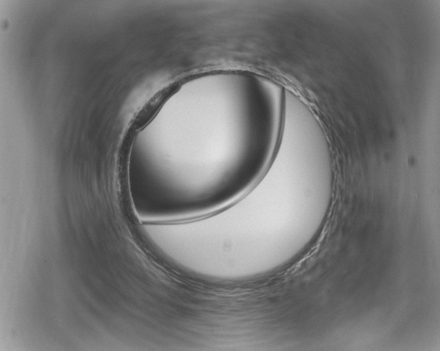 X0000080200248200612081141