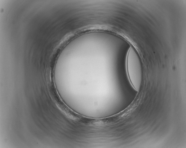 X0000080200253200612081141