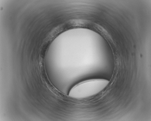 X0000080200265200612081141