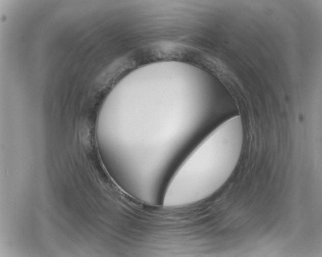 X0000080200266200612081141