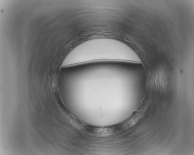 X0000080200277200612081141