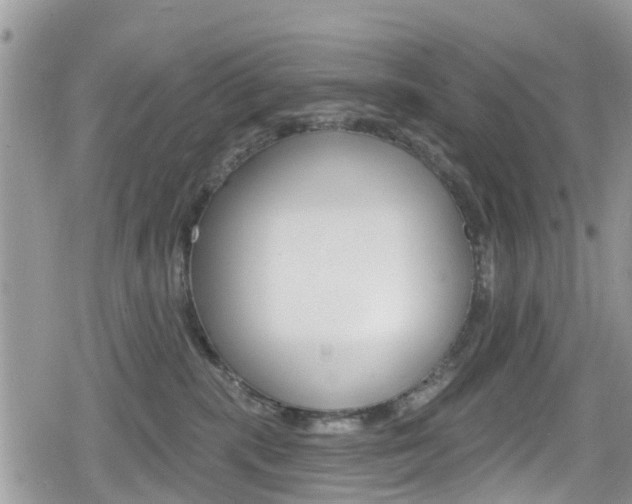 X0000080200283200612081142