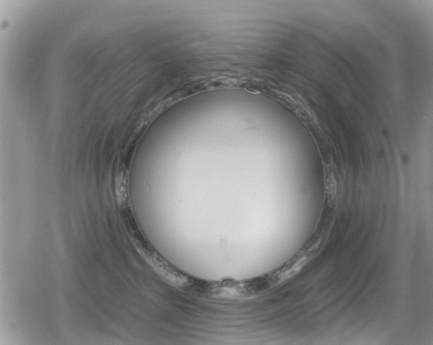 X0000080200285200612081142