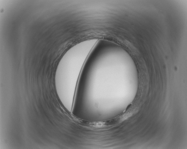 X0000080200288200612081142