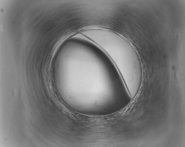 X0000080200289200612081141