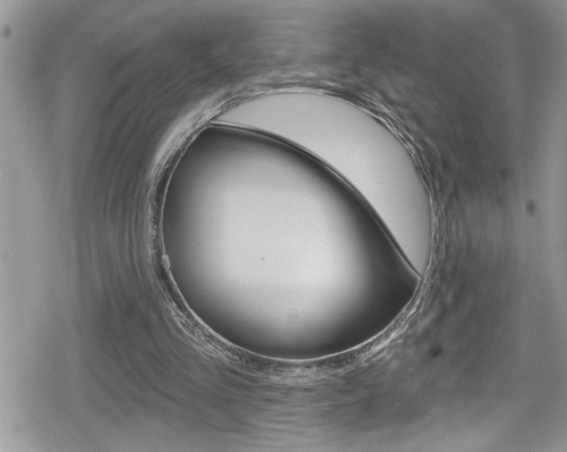 X0000080200293200612081141