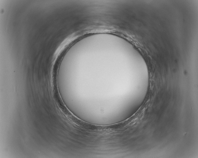 X0000080200296200612081141