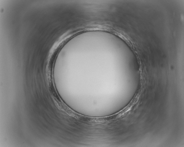 X0000080200343200612081139