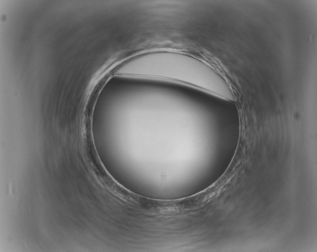 X0000080200344200612081139