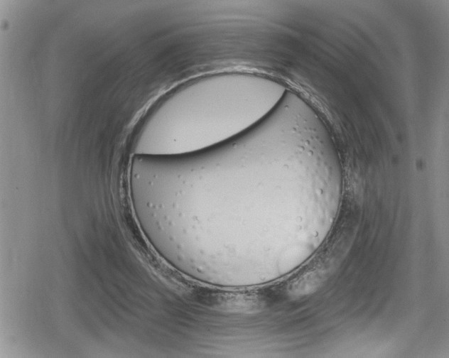 X0000080200347200612081139
