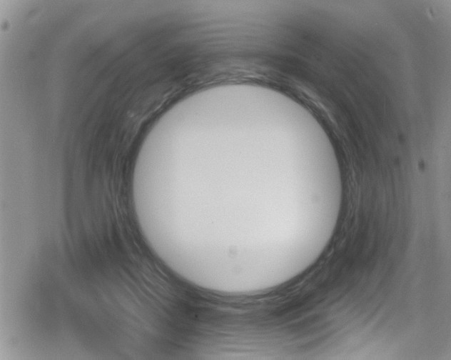X0000080200362200612081140