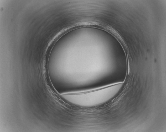 X0000080200387200612081139